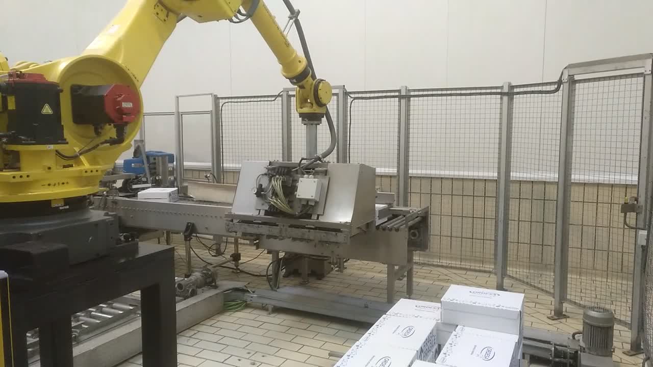 Célula robotizada de paletizado - proyecto industrial de Edimar